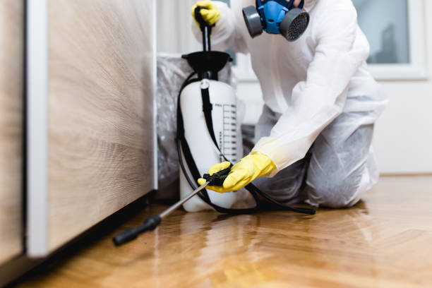 Wasp Removal Services in Union, OH