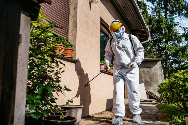 Best Affordable Pest Control Services  in Union, OH