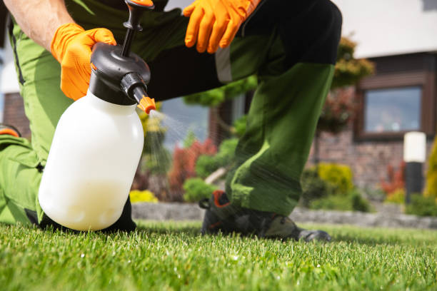 Best Pest Inspection Near Me  in Union, OH