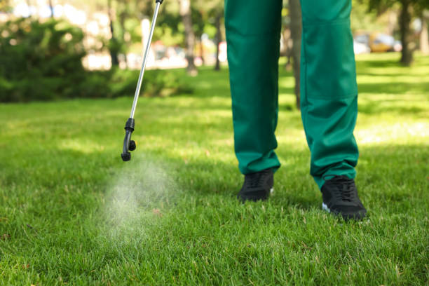 Best Wasp Removal Services  in Union, OH
