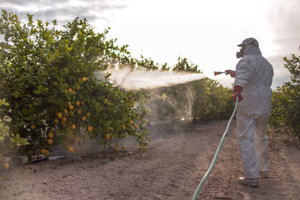 Best Affordable Pest Control Services  in Union, OH