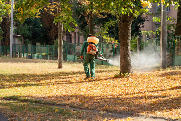 Best Mosquito Control Services  in Union, OH